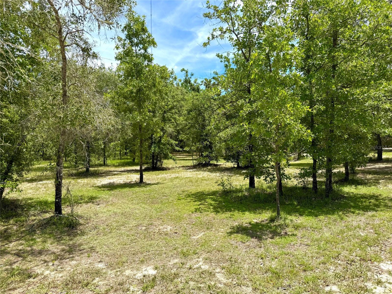 MORGAN FARMS SUB - Residential