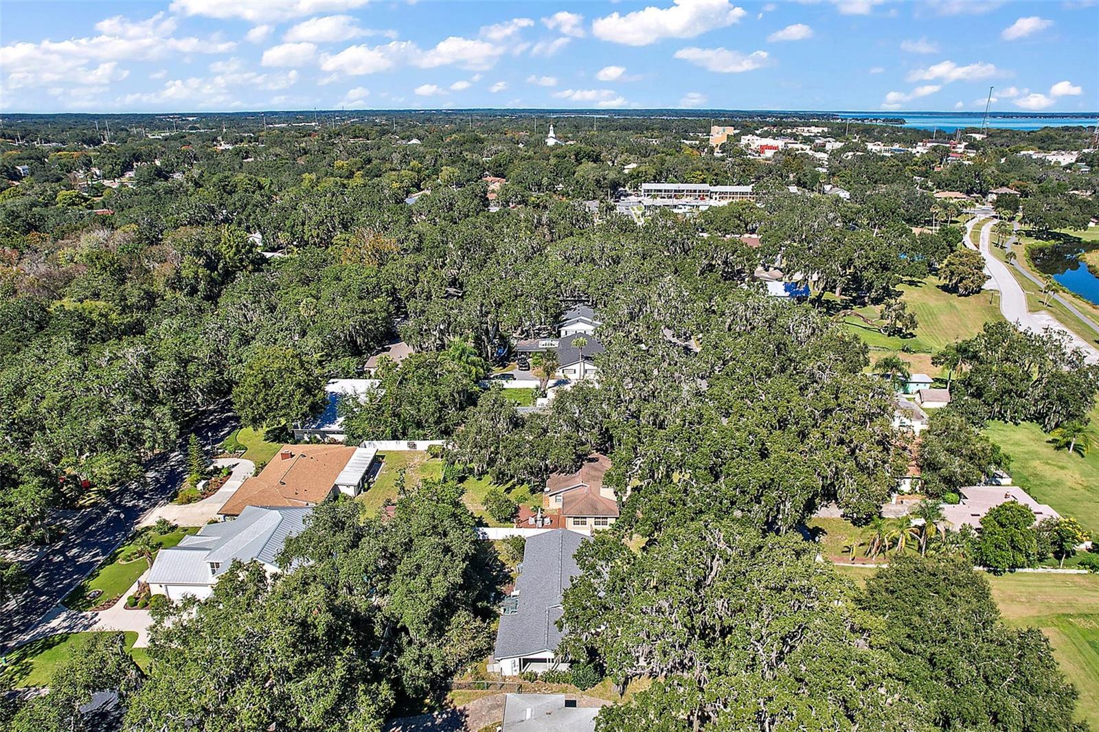 LEESBURG PALMORA PLACE - Residential