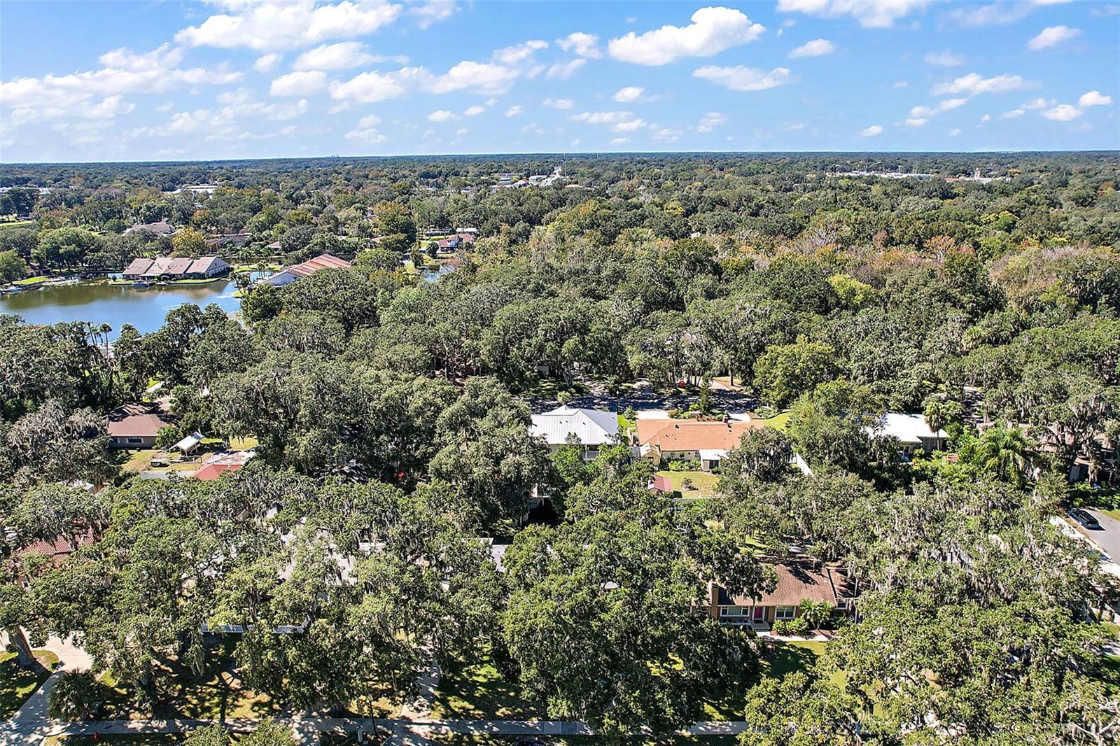 LEESBURG PALMORA PLACE - Residential