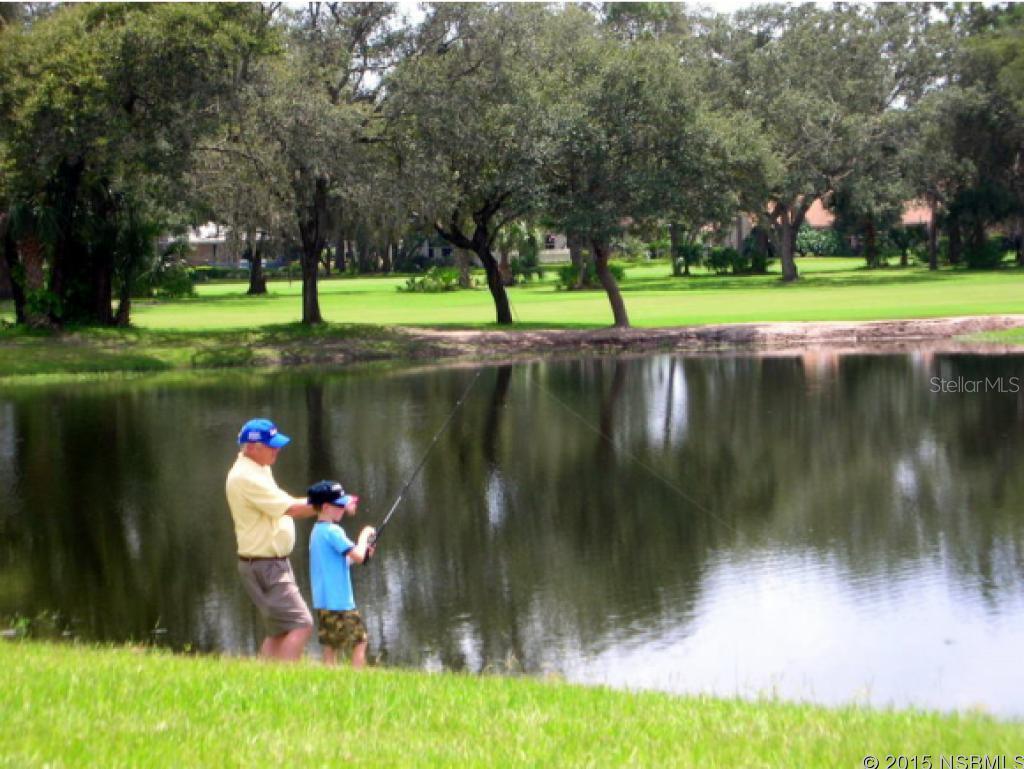 Wedgewood At Spruce Creek - Residential