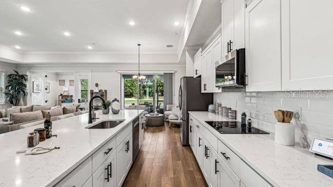 MOUNT PLYMOUTH GREEN - Residential