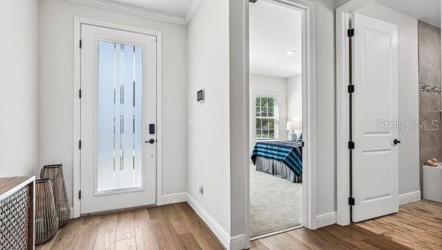 MOUNT PLYMOUTH GREEN - Residential