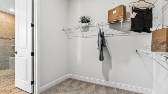 MOUNT PLYMOUTH GREEN - Residential