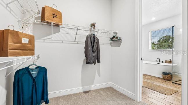 MOUNT PLYMOUTH GREEN - Residential