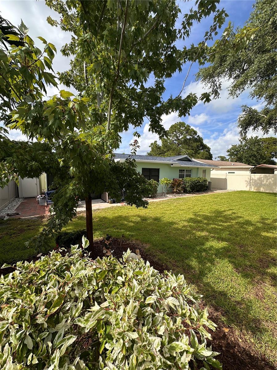 SEMINOLE PINES SUB PH 1 - Residential