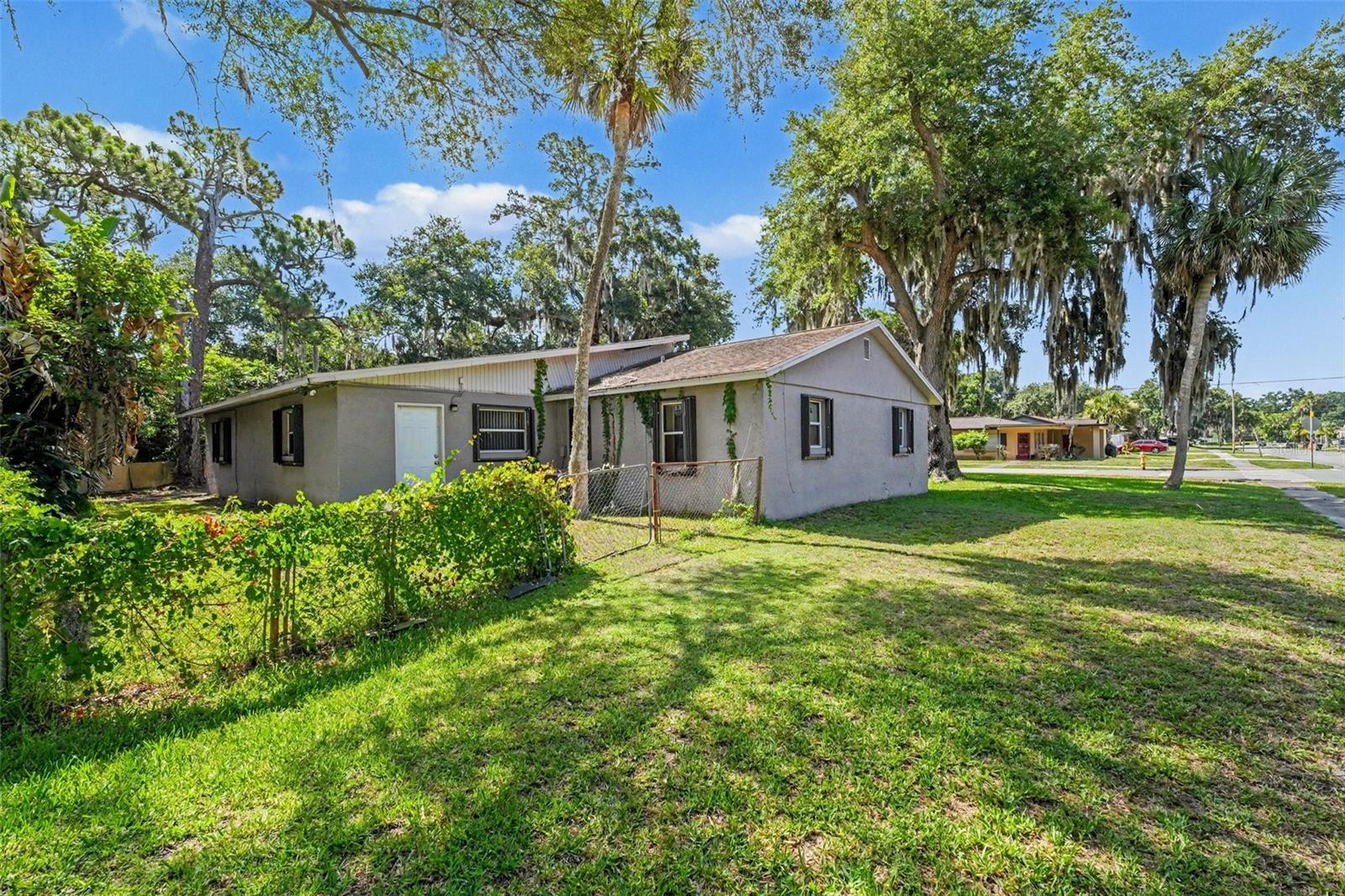 VIRGINIA PARK - Residential