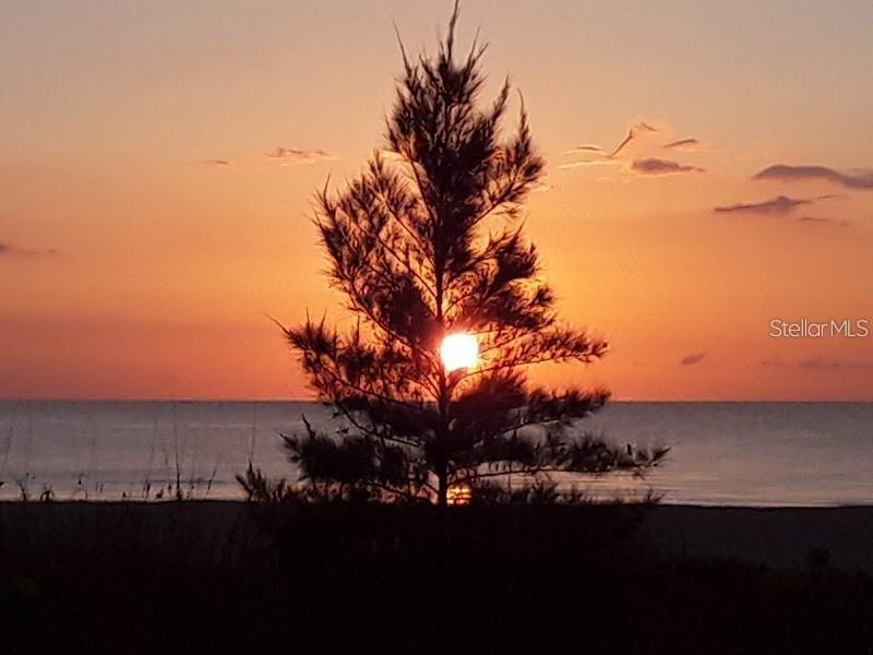 SAND KEY CONDO-SOUTH BEACH - Residential Lease