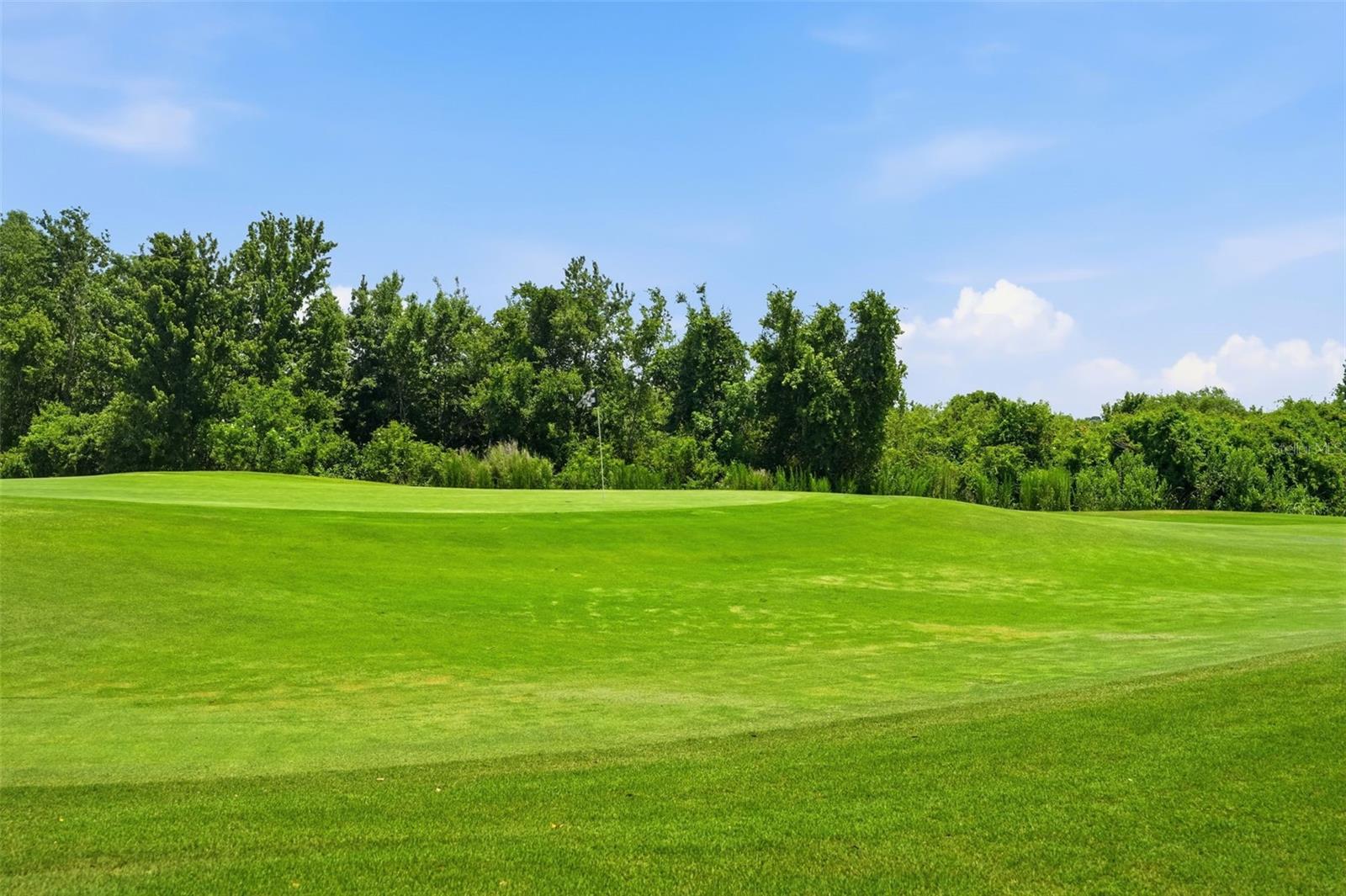 TAMPA BAY GOLF & TENNIS CLUB PH 04 - Residential