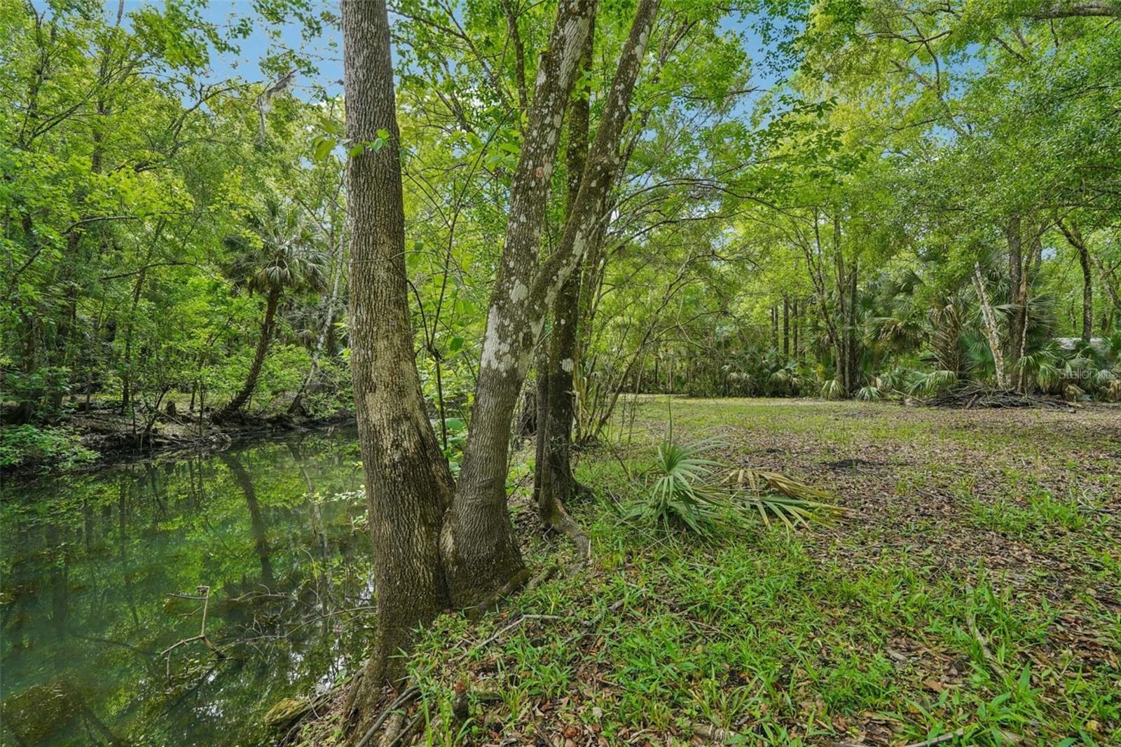 SHERWOOD FOREST UNREC - Residential