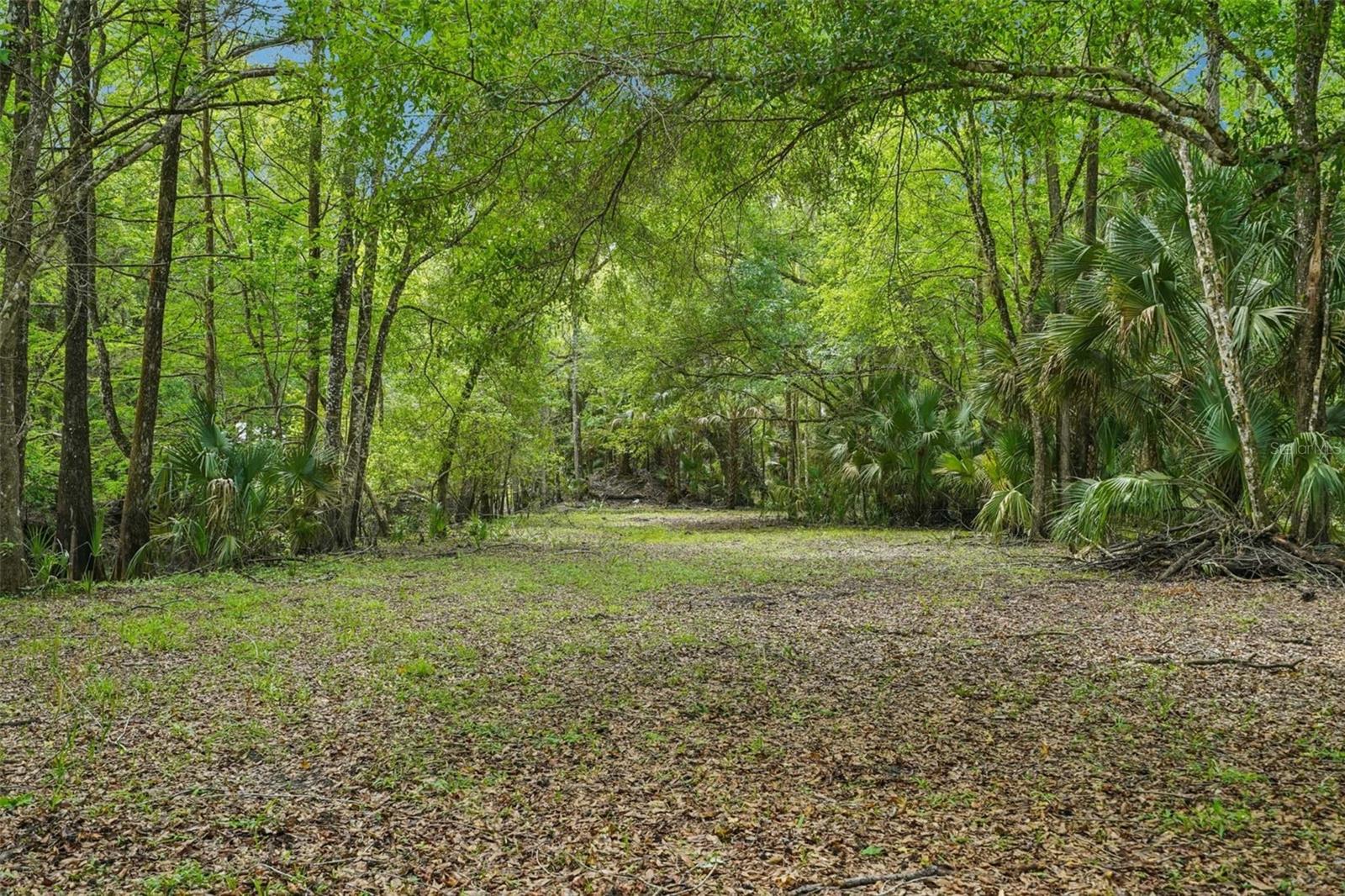 SHERWOOD FOREST UNREC - Residential