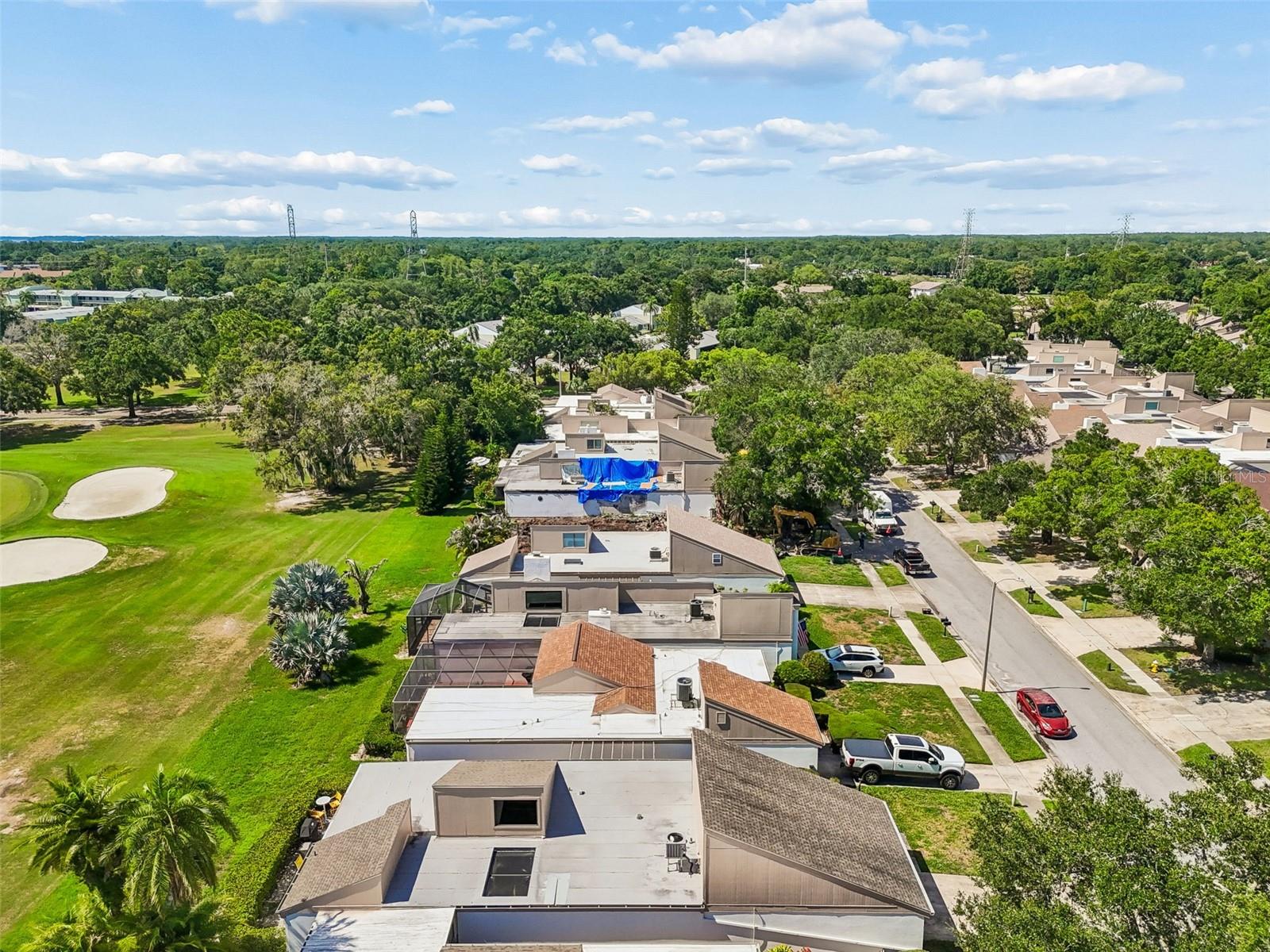 EAST LAKE WOODLANDS PATIO HOMES - Residential