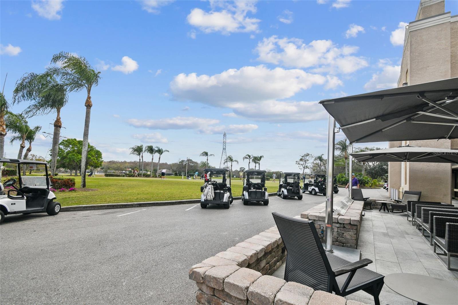 EAST LAKE WOODLANDS PATIO HOMES - Residential