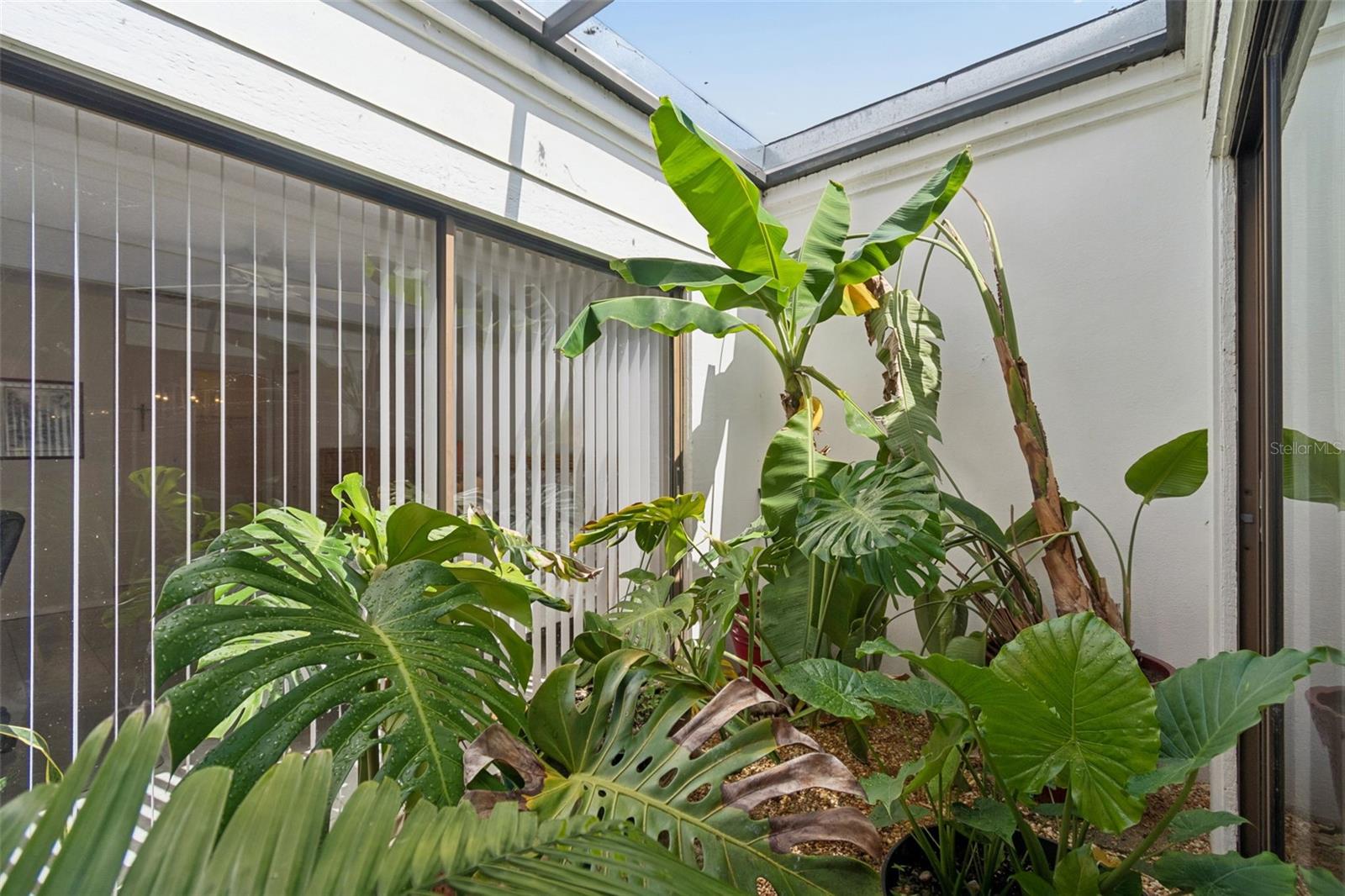 EAST LAKE WOODLANDS PATIO HOMES - Residential