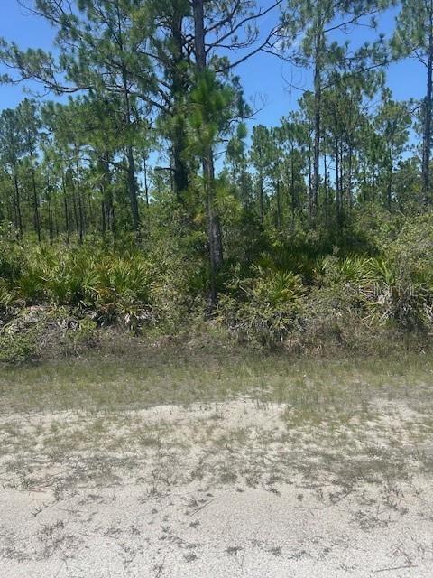 INDIAN LAKE ESTATES UNIT 09 REV - Land
