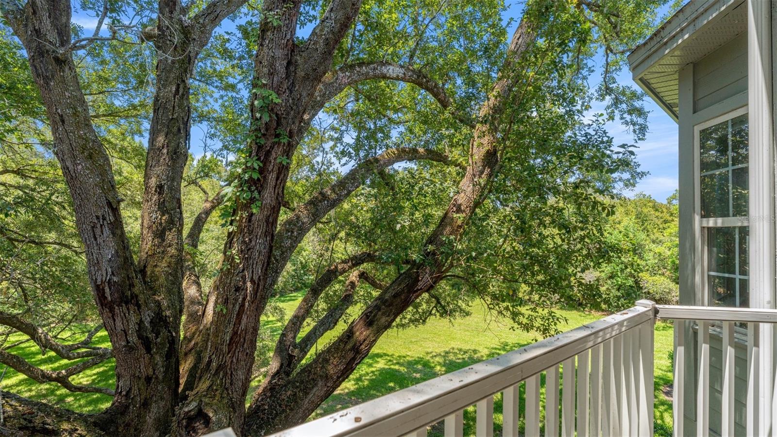 GREENBRIAR TERRACE - Residential