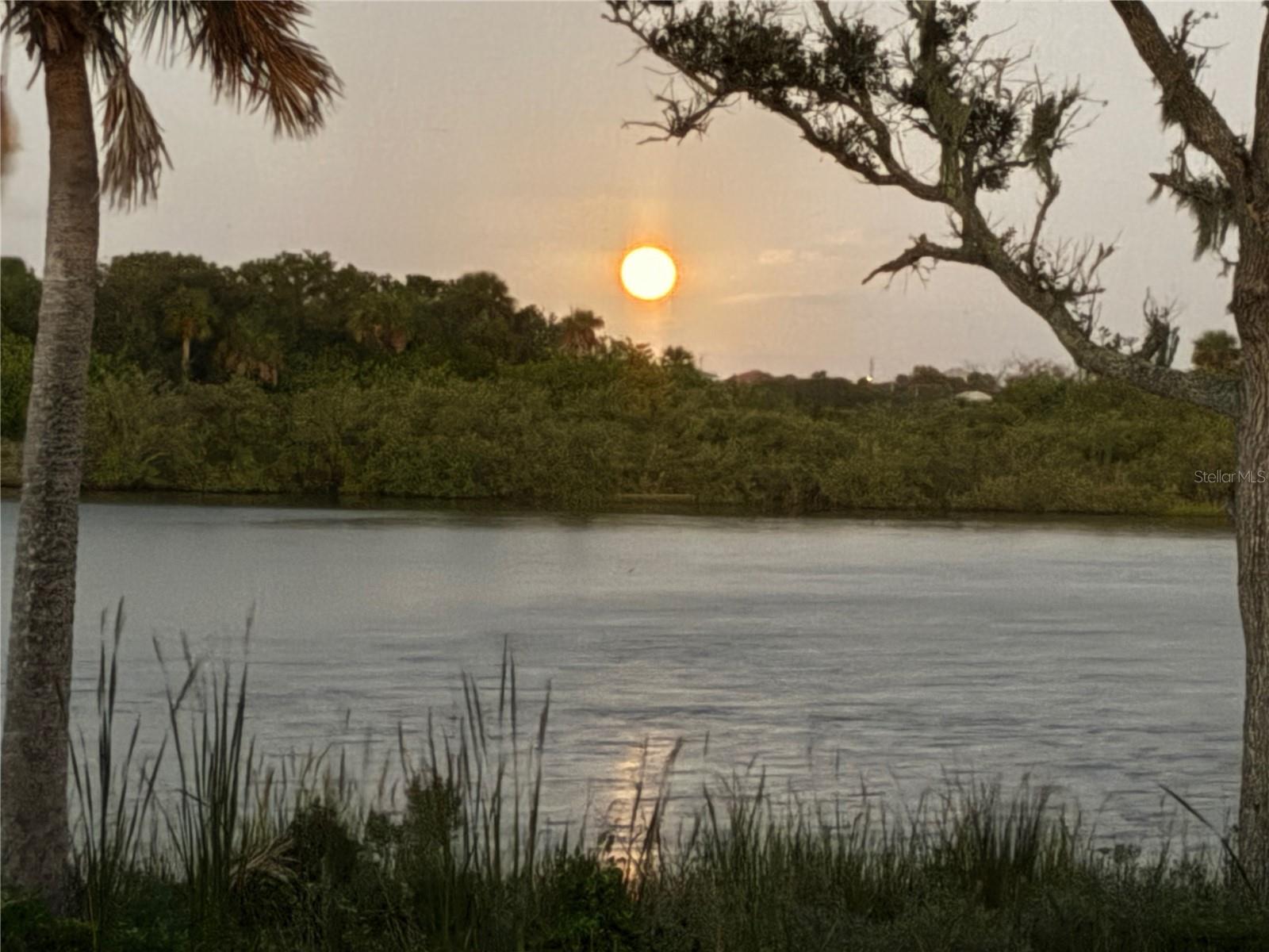 Direct Intracoastal Waterway Home Site located in the exclusive coastal resort living gated community of Veranda Bay.  1 mile from the quaint picturesque Flagler Beach, filled with beachside restaurants, shopping and the beautiful ocean surf.  This ready-to-build premium lot is in the prime location at the south end of Coronado Road, offering the very best views of the Intracoastal Waterway. Your backyard looks directly across to the conservation wetland marsh, ensuring a lifetime of unchanging natural beauty.   Build your custom dream home with your own private dock!  Veranda Bay offers world-class amenities, including a marina, a state-of-the-art clubhouse and fitness center, tennis and pickle ball courts, a dog park, and a large community pool.  Wake up to the sun rising above the mangroves in your very own backyard.  This truly is a gem of peaceful tranquility. Watch the boats glide past, the dolphins frolic, and the numerous exquisite birds that fill the sky.  Don't miss this once-in-a-lifetime opportunity to live your life on the water.  A selection of possible homes that can be built on the property is available on request.   Flagler Beach is just a 35 minute drive to St Augustine and Daytona Beach and a 45 minute drive to New Smyrna.