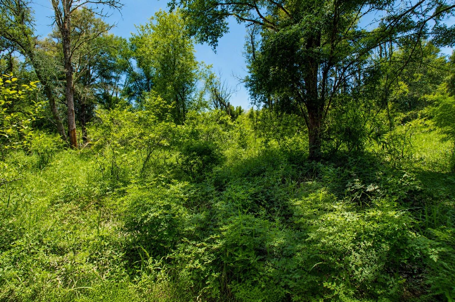 INDIAN OAKS - Residential