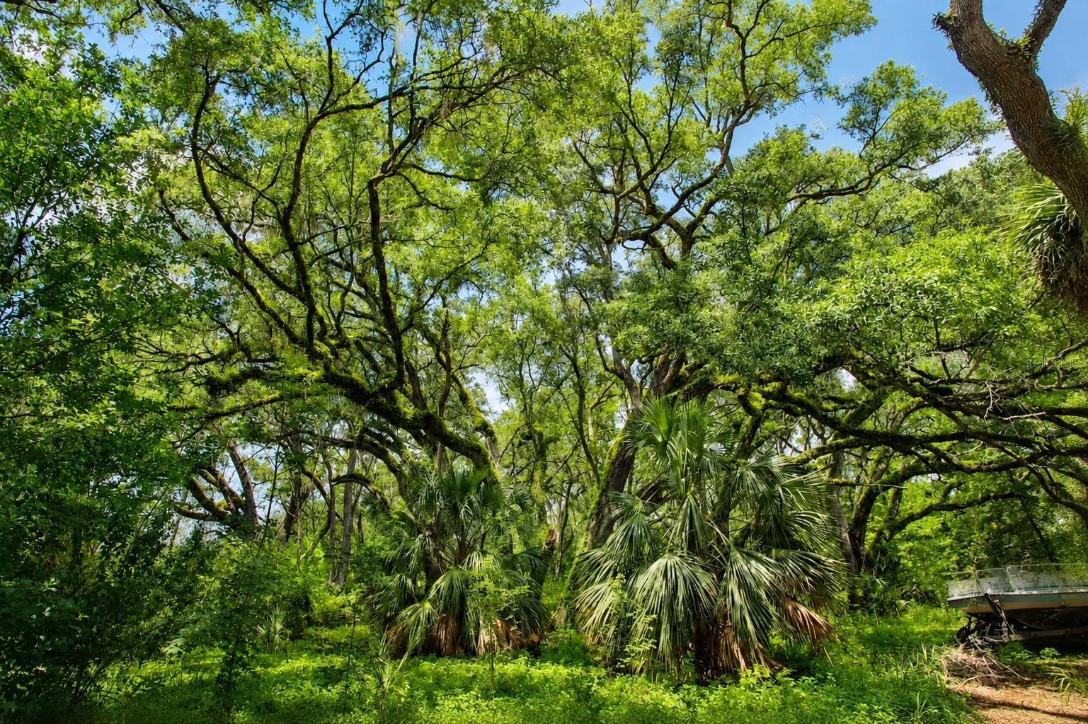 INDIAN OAKS - Residential