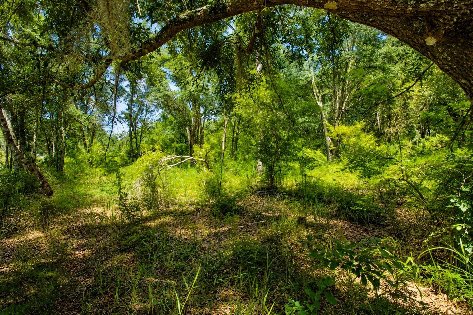 INDIAN OAKS - Residential