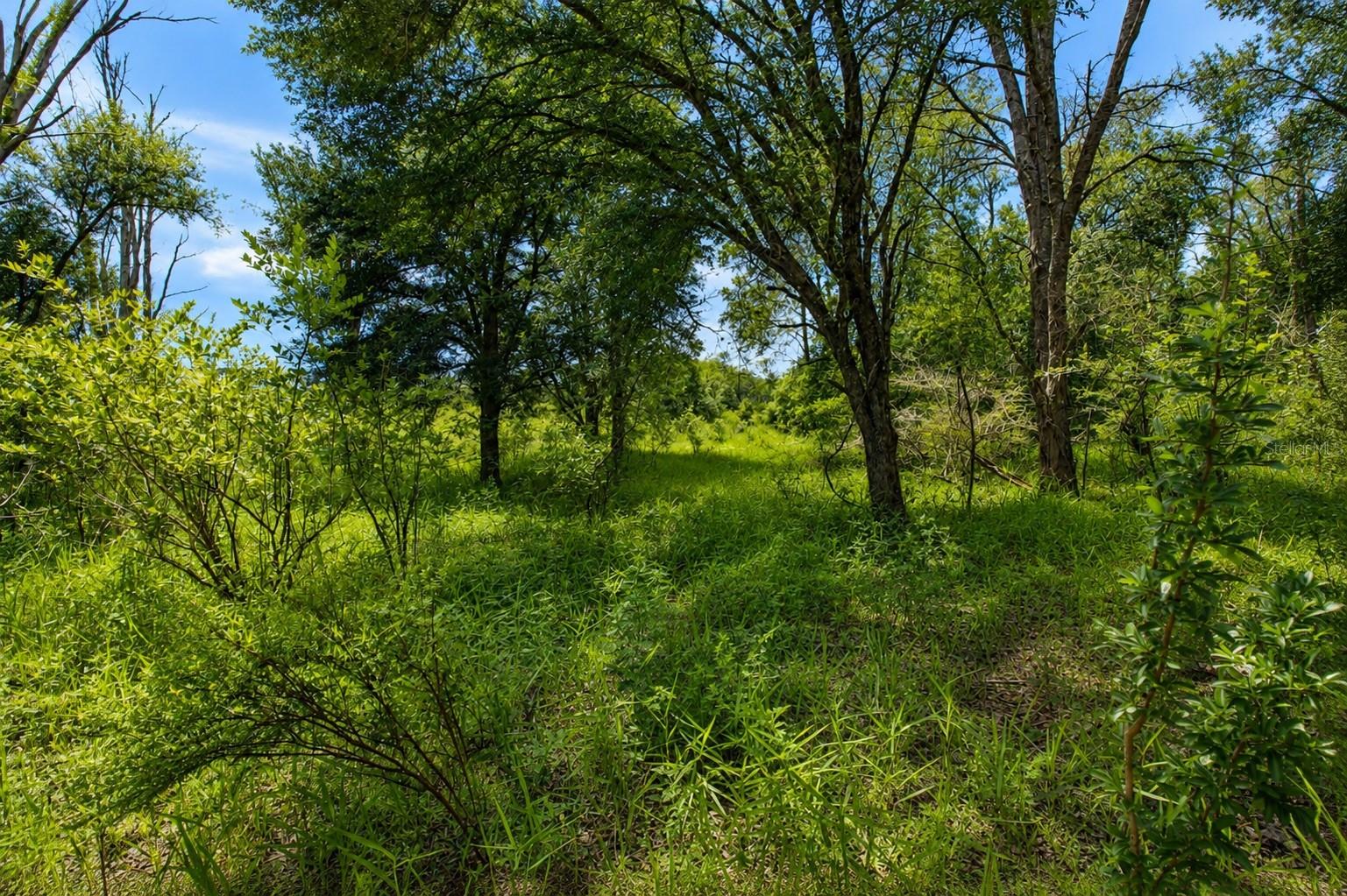INDIAN OAKS - Residential