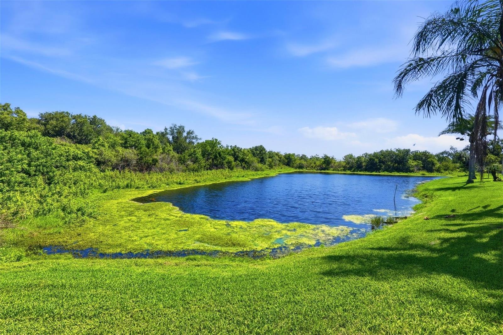 CLUBHOUSE ESTATES AT SUMMERFIELD - Residential