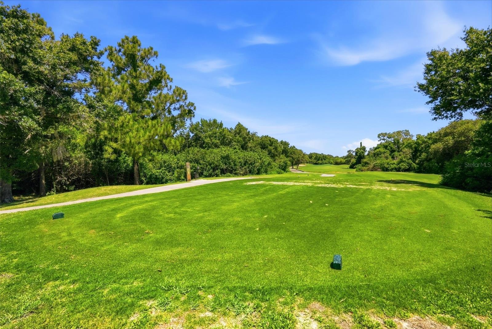 CLUBHOUSE ESTATES AT SUMMERFIELD - Residential