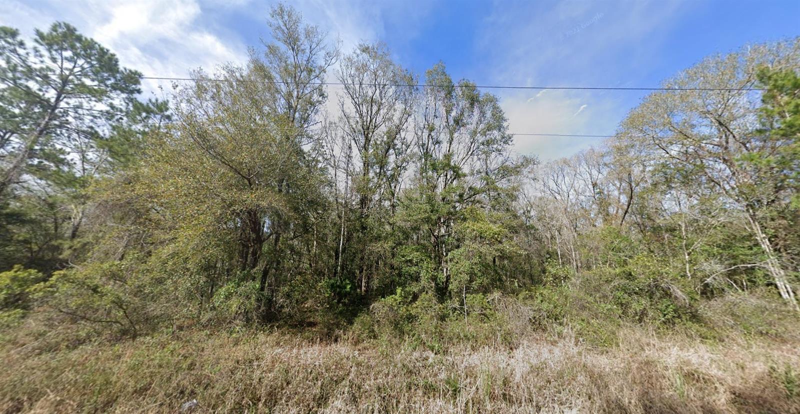 FLAGLER ESTATES UNPLATTED UNIT 3 - Land