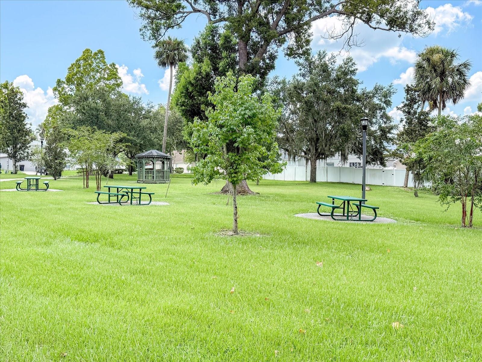 BLUE SPGS VILLAS - Residential