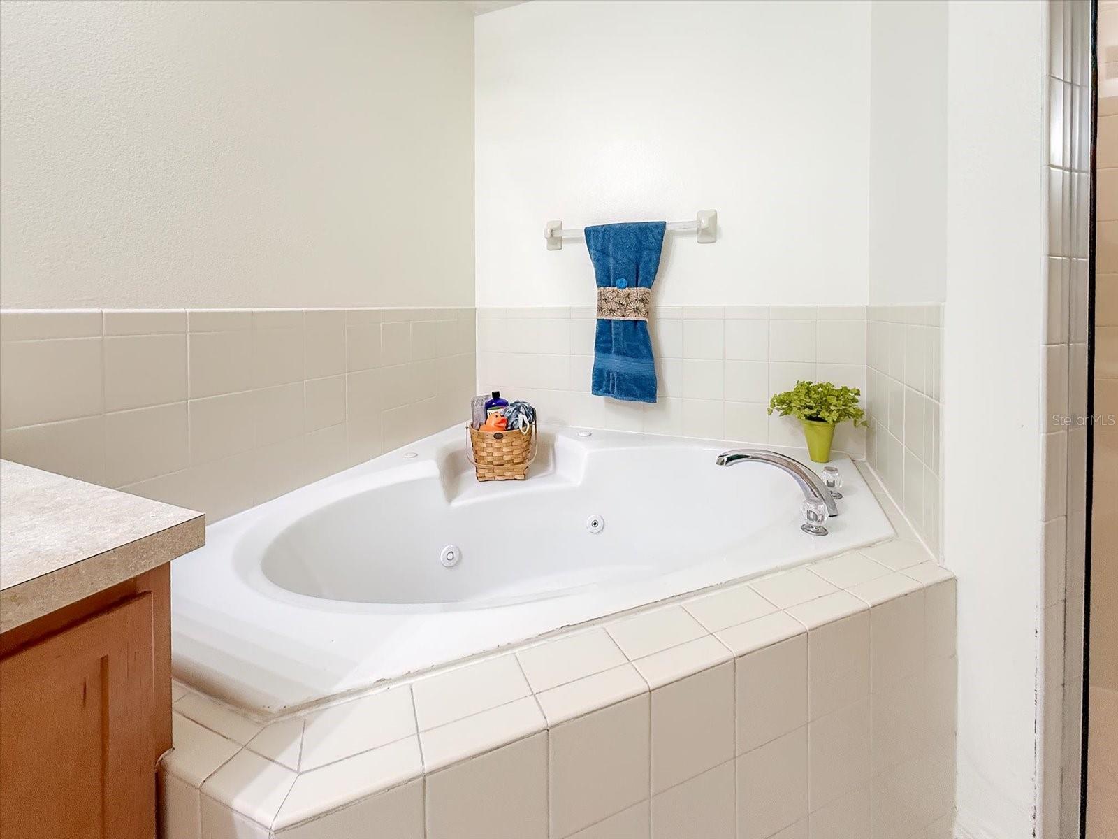 BLUE SPGS VILLAS - Residential