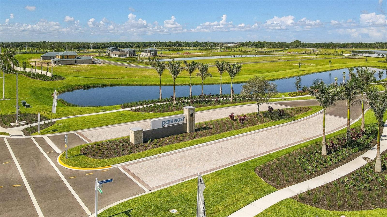 PARK EAST AT AZARIO PH I SUBPH A & B - Residential