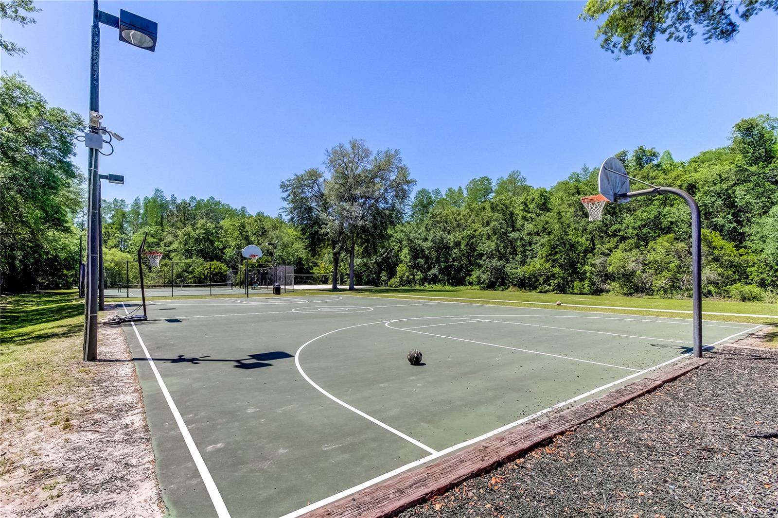 GREY HAWK AT LAKE POLO - Residential