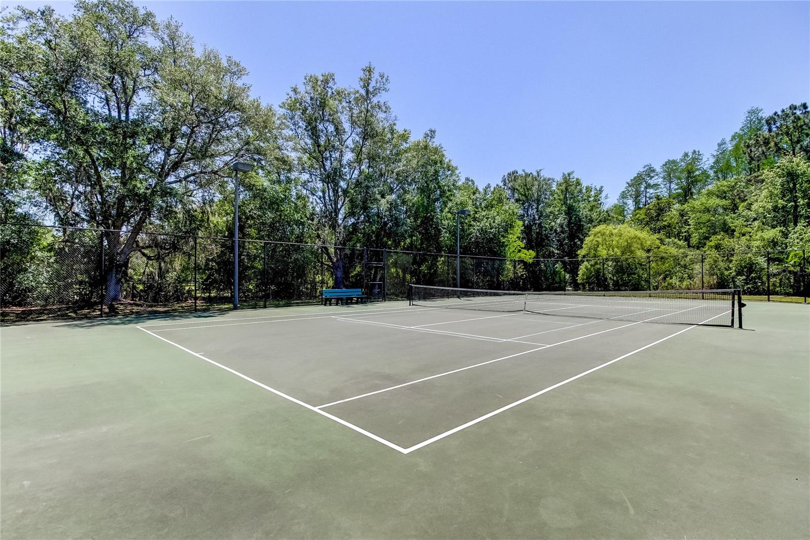 GREY HAWK AT LAKE POLO - Residential