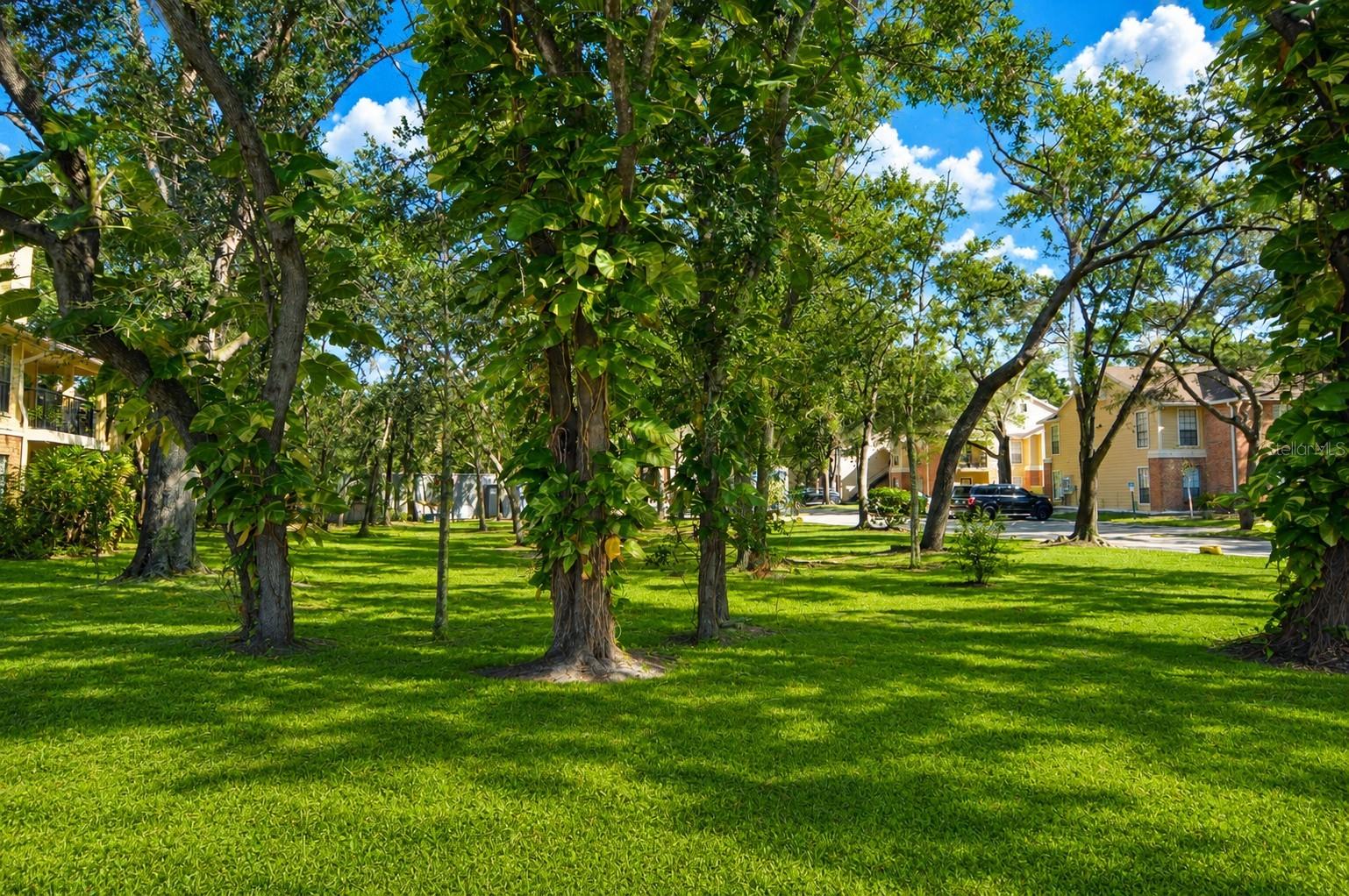 THE GRAND RESERVE CONDO - Residential Lease