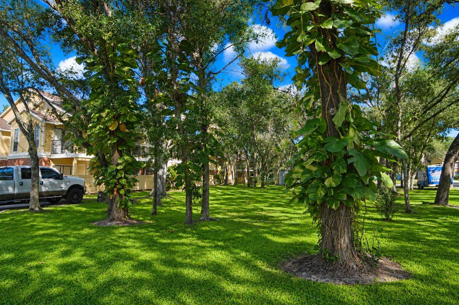 THE GRAND RESERVE CONDO - Residential Lease