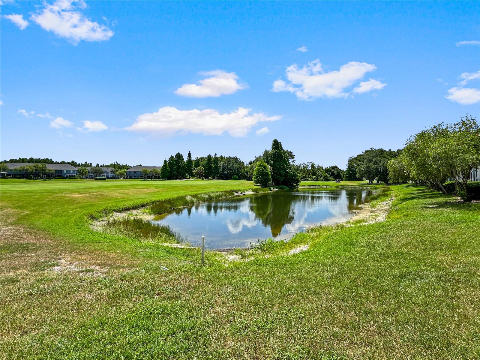 NASSAU POINTE TWNHOMES AT HERI - Residential