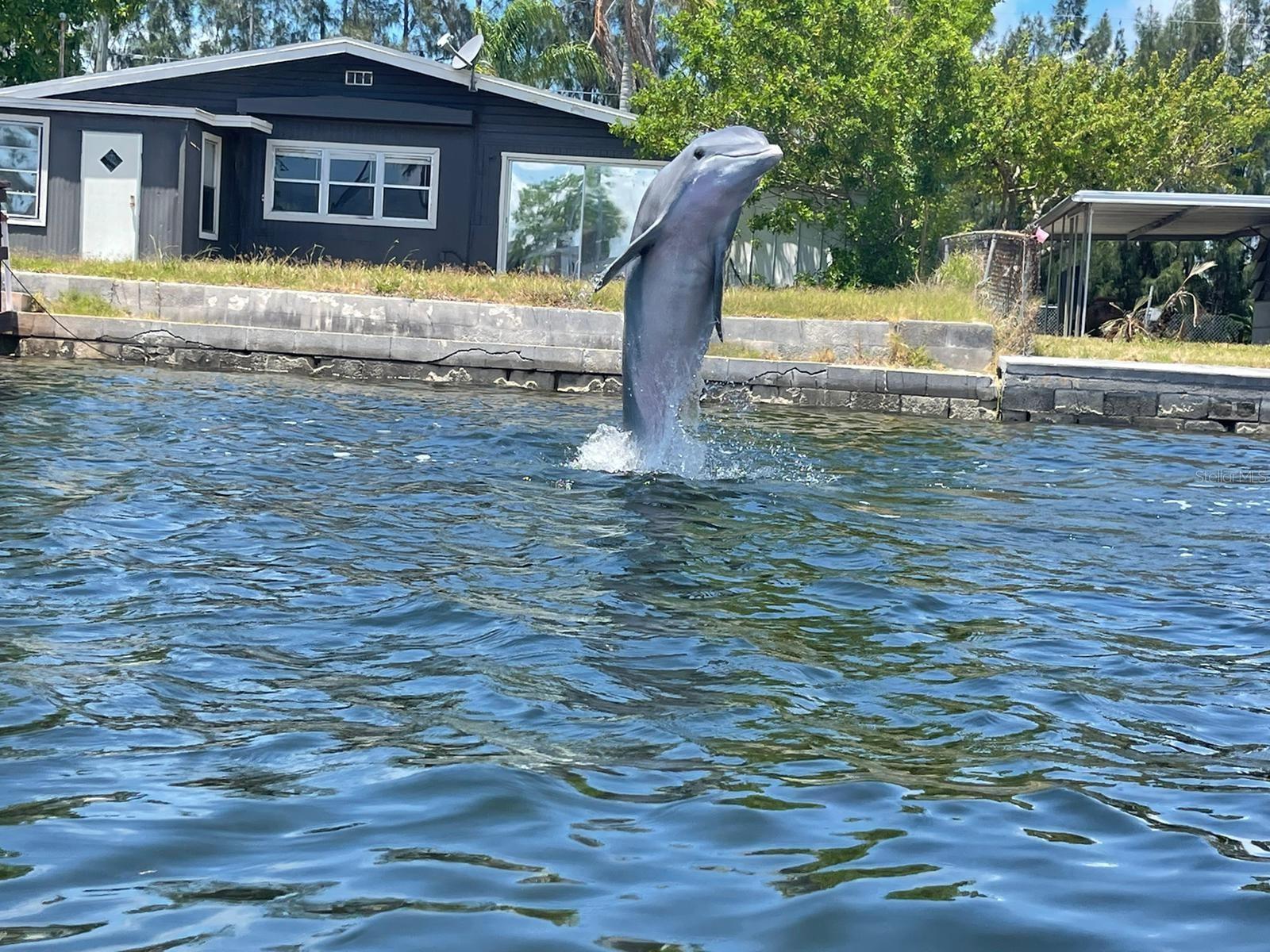 SIGNAL COVE - Residential