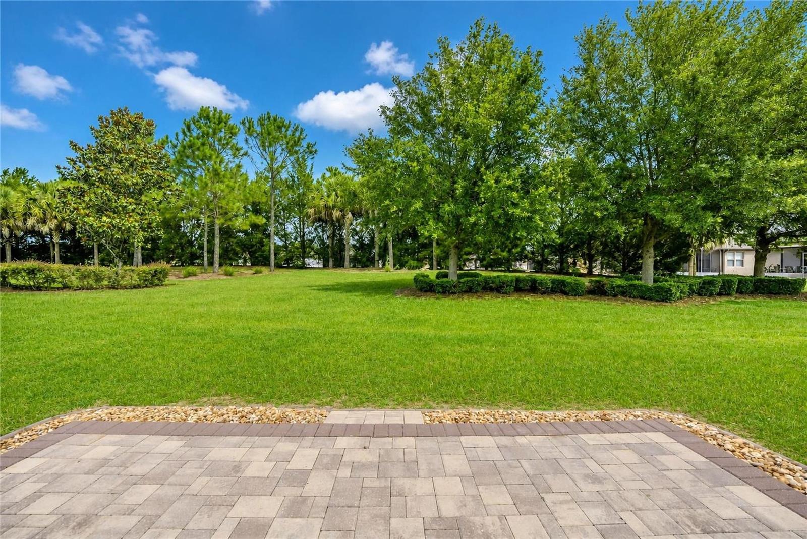 STONE CRK BY DEL WEBB ARLINGTON - Residential