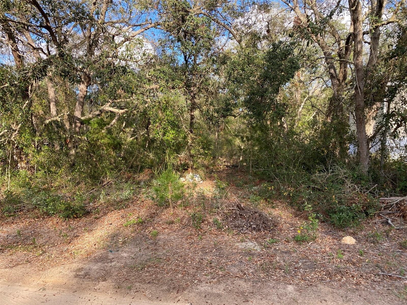 CARLTON VILLAGE PARK - Land