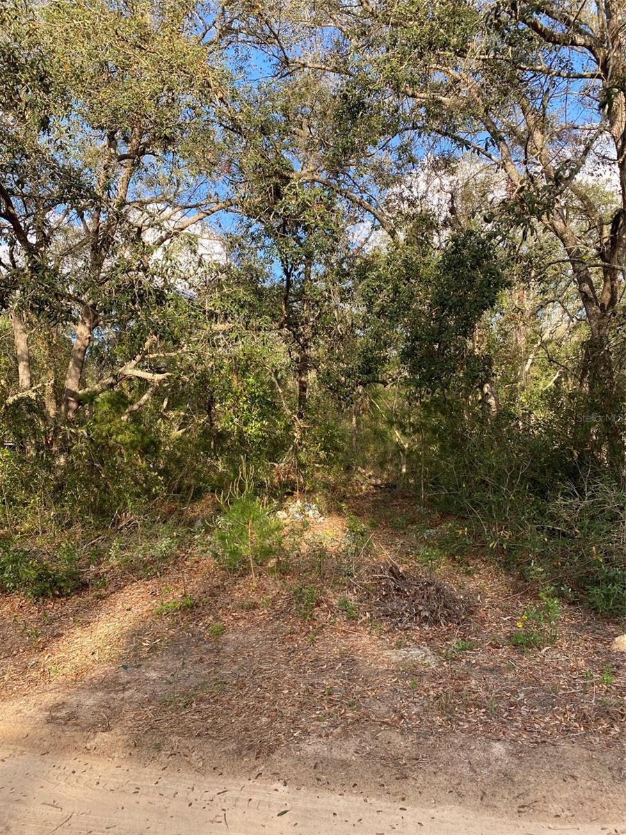 CARLTON VILLAGE PARK - Land