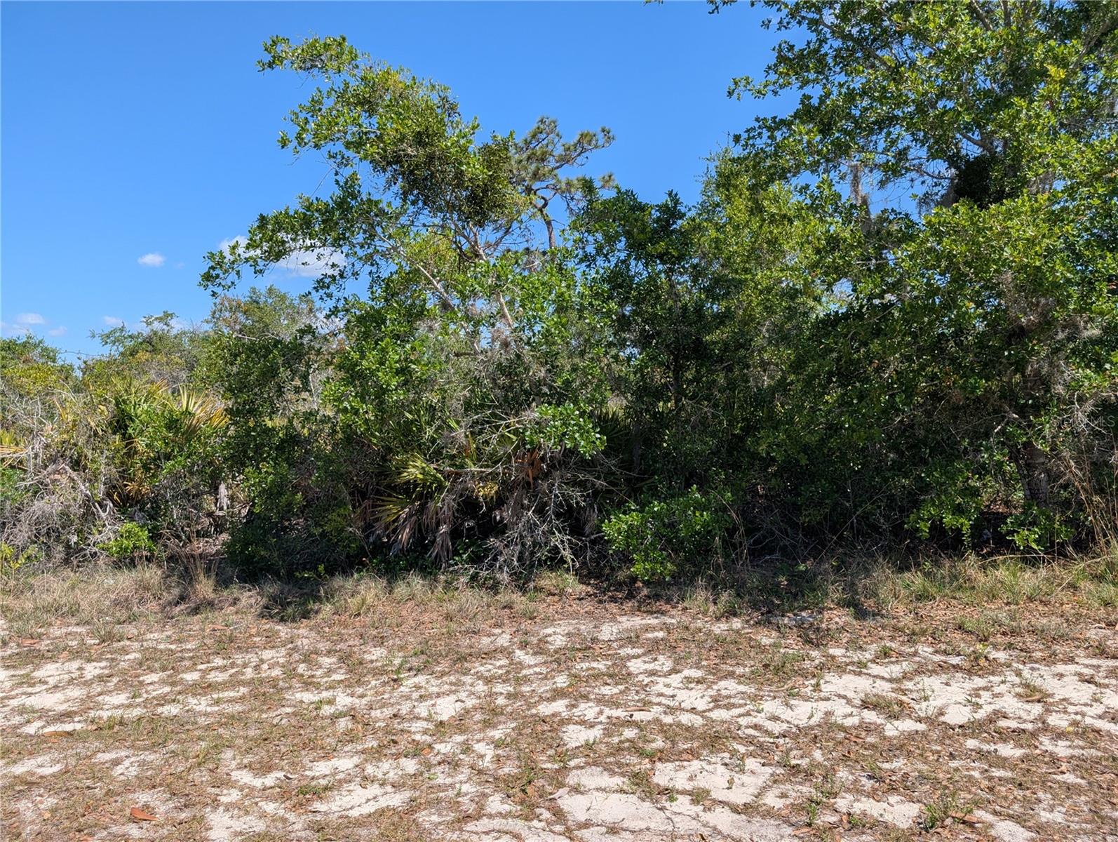 INDIAN LAKE ESTATES - Land