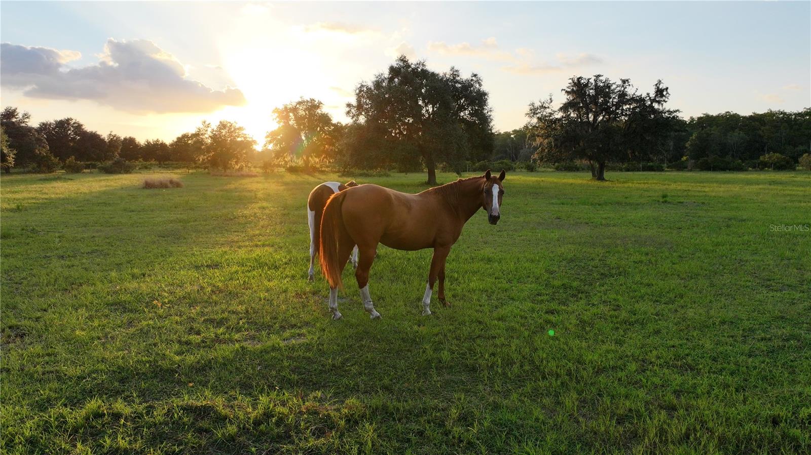 ACREAGE - Land