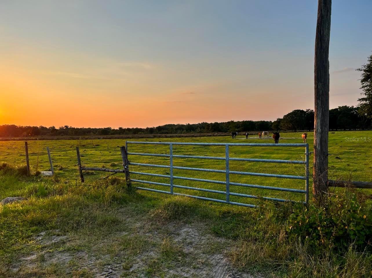 ACREAGE - Land