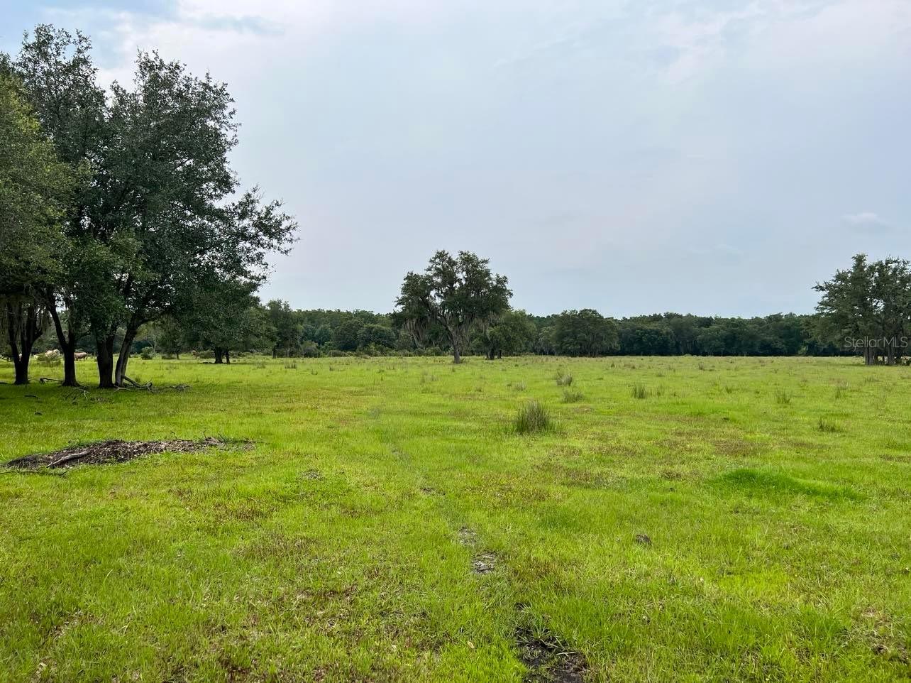 ACREAGE - Land