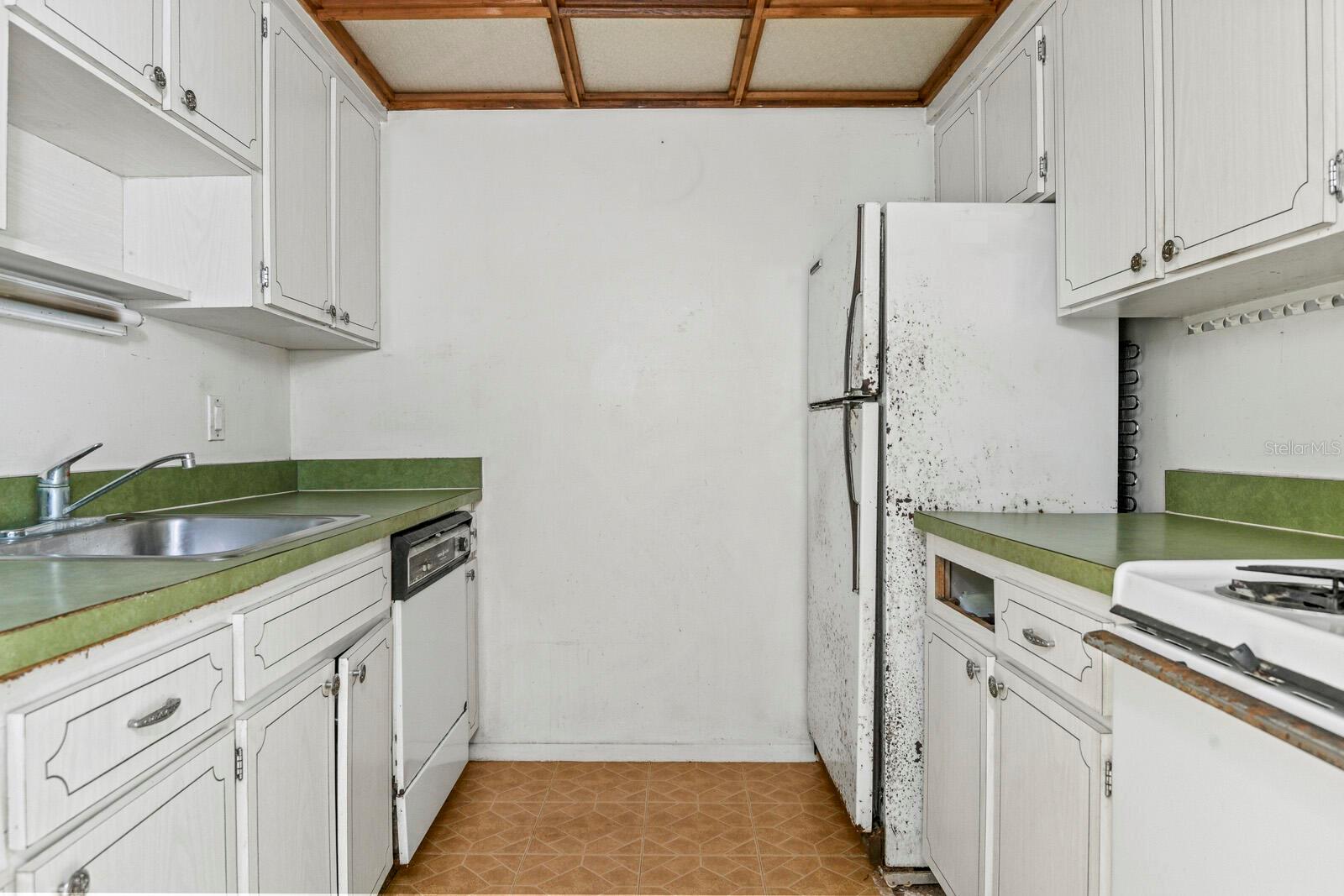 BRANDYCHASE A CONDO - Residential