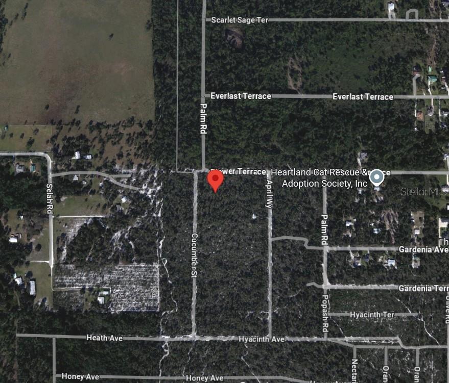 Imagine coming home each day to a peaceful retreat in the heart of Central Florida. This exceptional one-acre residential lot offers a wonderful opportunity to build your custom dream home or hold as a long-term investment. With no HOA and located in an area reported to be high and dry, the property provides flexibility, privacy, and room to create the lifestyle you envision.
The surrounding area is already developed with homes, making this an appealing location for future growth while still offering a quiet, spacious setting away from the hustle and bustle. Enjoy convenient access to nearby shopping, dining, medical facilities, golf courses, fishing, and outdoor recreation. Publix and the world-famous Sebring International Raceway, home of the 24 Hours of Sebring, are approximately 8 miles away, while Walmart is about 12 miles away.
Zoned R-1 Residential, this property offers generous space, no HOA restrictions, and strong potential for those looking to build now or invest for the future.
