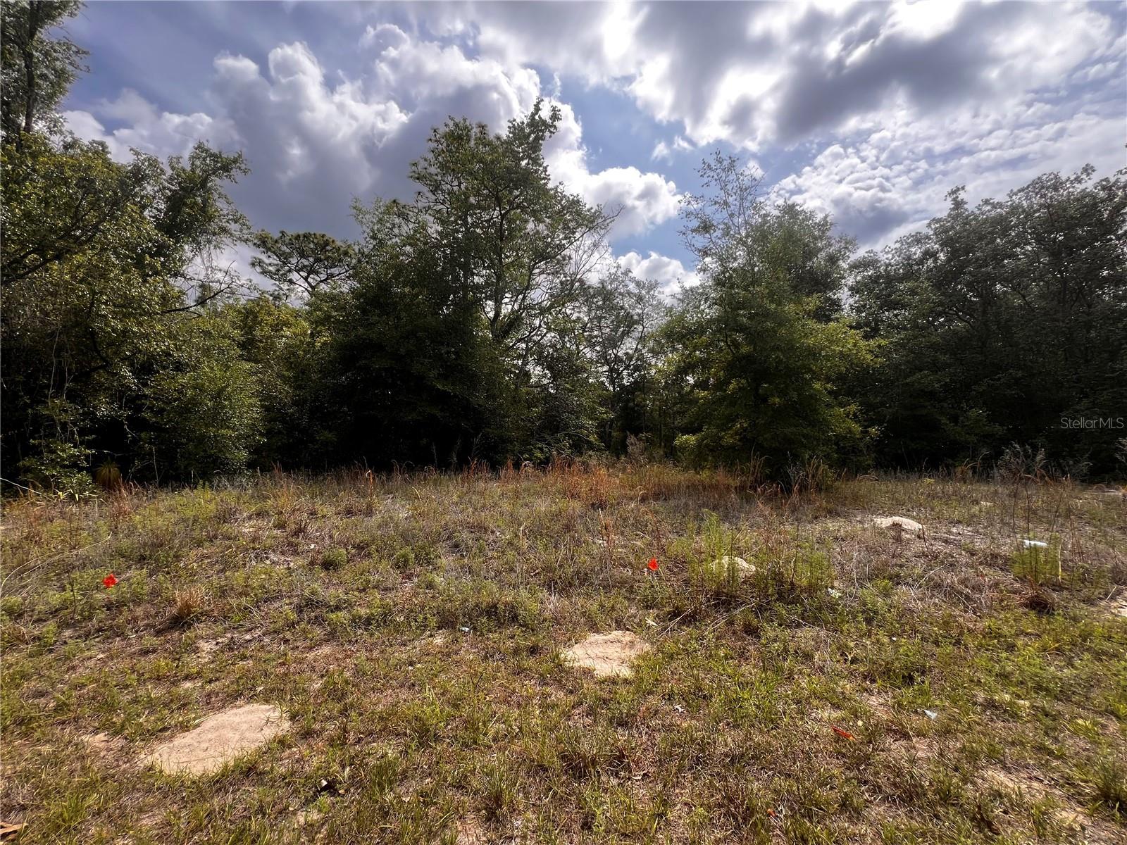 Build your Florida dream home on this beautiful homesite located at 7095 N Foxdale Drive in desirable Citrus County! Nestled in the heart of sunny Florida, this parcel offers the perfect blend of peaceful living and outdoor adventure. Enjoy nearby access to the sparkling Gulf Coast, where you can spend your days boating, fishing, kayaking, scalloping, or simply relaxing while taking in breathtaking Florida sunsets. Discover why Crystal River is known as the Manatee Capital of the World, where you can experience unforgettable encounters with gentle manatees year-round. Conveniently located near shopping, dining, medical facilities, parks, and the natural beauty that makes Citrus County one of Florida’s hidden gems. Don’t miss this opportunity to own your slice of paradise!