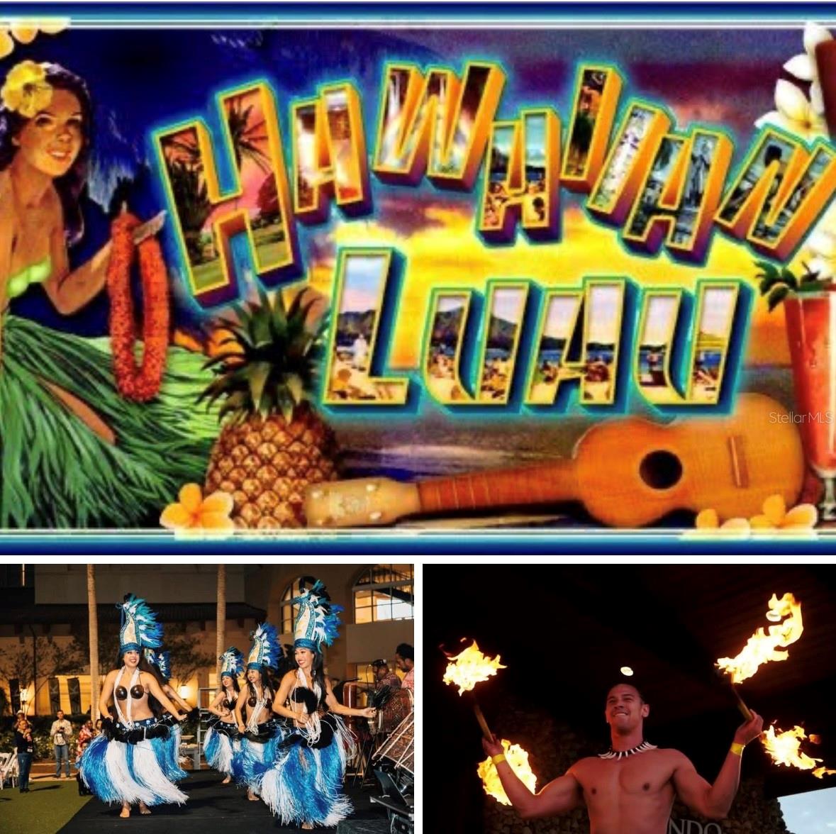 FLOR A MAR - Land