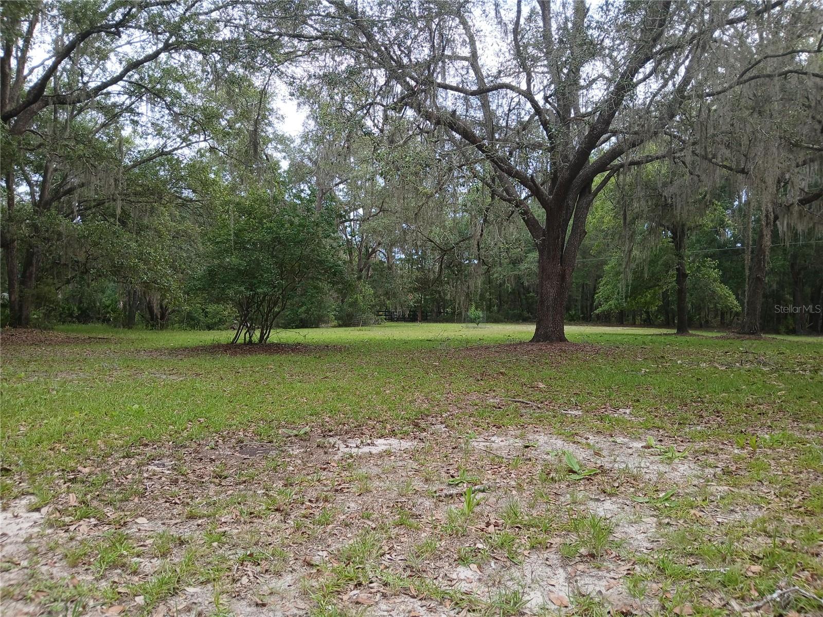 WACCASASSA CAMPSITES UNIT 2 - Residential