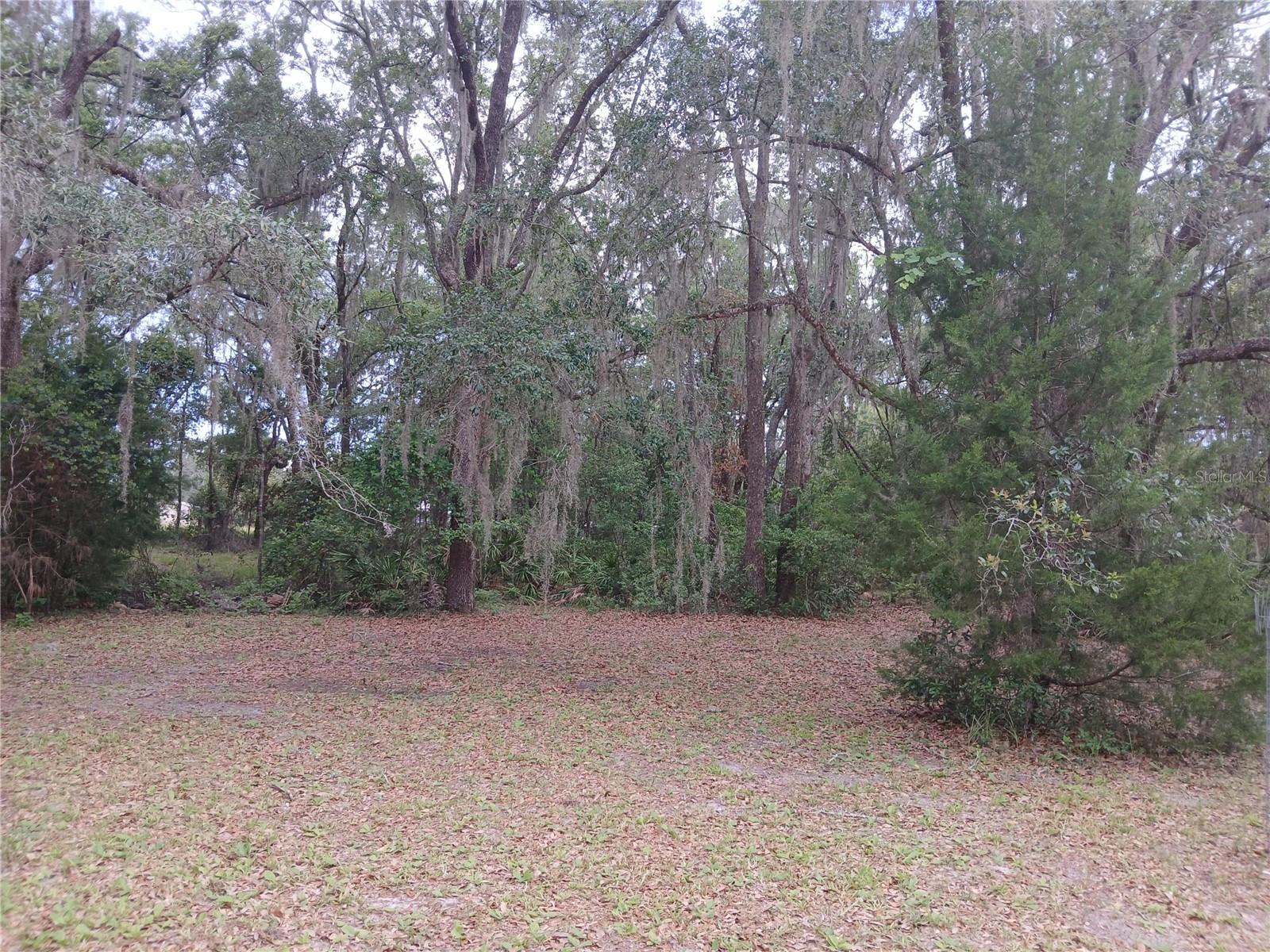 WACCASASSA CAMPSITES UNIT 2 - Residential