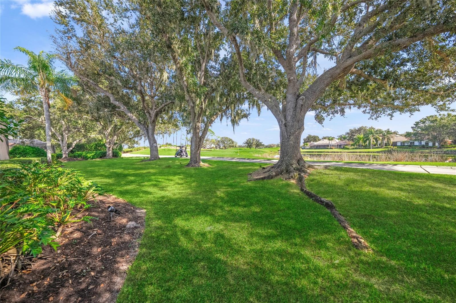 LAUREL OAK ESTATES - Residential